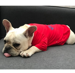 100% Cotton Family Dog Jumpsuit Pajamas Clothes For Small And Big Lovely