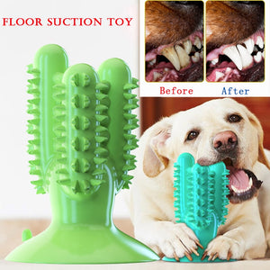 2020 Dog Toothbrush Toys for Dogs Interactive Toy Training IQ Teeth Cleaning Durable Small Medium Large Dog Puppy Chewing