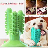 2020 Dog Toothbrush Toys for Dogs Interactive Toy Training IQ Teeth Cleaning Durable Small Medium Large Dog Puppy Chewing