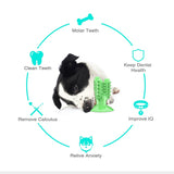 2020 Dog Toothbrush Toys for Dogs Interactive Toy Training IQ Teeth Cleaning Durable Small Medium Large Dog Puppy Chewing