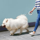 LUMEN™ -  Retractable Pet Leash Ring Flexible 3.0m Dog Traction Rope Pet Collar LED Night Light Walk Out Rope