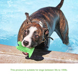 2020 Dog Toothbrush Toys for Dogs Interactive Toy Training IQ Teeth Cleaning Durable Small Medium Large Dog Puppy Chewing