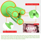 2020 Dog Toothbrush Toys for Dogs Interactive Toy Training IQ Teeth Cleaning Durable Small Medium Large Dog Puppy Chewing