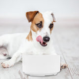 Pet Drinking Bowl, Heating Bowl, Heating Drinker, Automatic Heating, Heat Preservation, Dog Drinking Bowl, Cat Drinking Bowl
