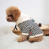 Family clothing for pet T shirt cat vest vests dog coat Parent dog couple clothes Dog Apparel dog vest outfit Personalize Design