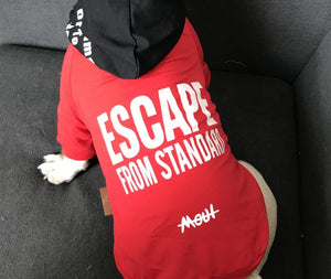 Family clothing for pet and owner dog hoodies parent-pet outfit French Bulldog attire dogs cat autumn spring dogs clothes