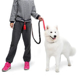 Nylon Dog Leash Pet Training Walking Safety Dog Leads Adjustable Rope Running Harness Collar Dog Leash Dog Supplies Pet Supplies