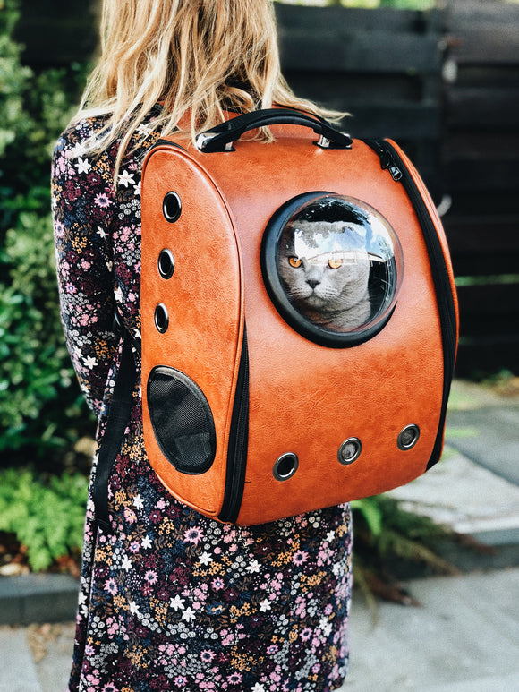 Outerspace Cat Carrier